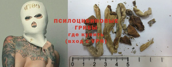 2c-b Баксан