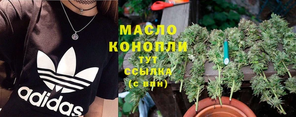 молекула духа Балахна