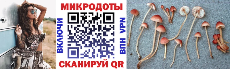 Псилоцибиновые грибы Magic Shrooms  магазин продажи   Белёв 