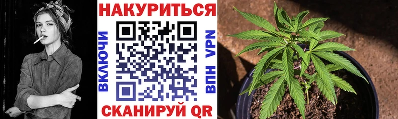 Каннабис конопля  Белёв 